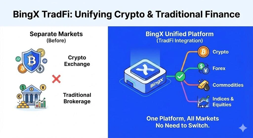 BingX TradFi Integration for Crypto and Forex Signals Big Change | Insightful Trade